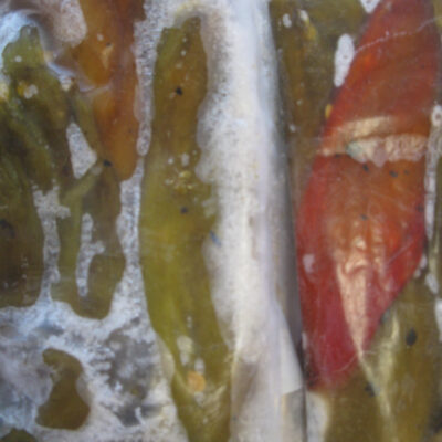 Close up of frozen green chiles