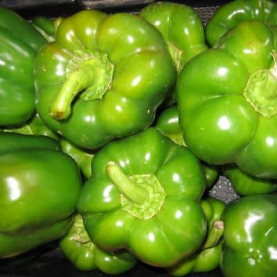 Green bell peppers grown at Snake Ranch Farm