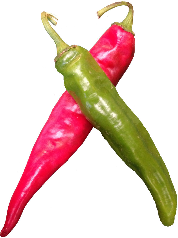Red chile and green chile side by side Red chile and green chile side by side