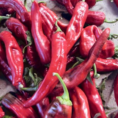 Red chiles scatterd on a table at a Snake Ranch Farm store