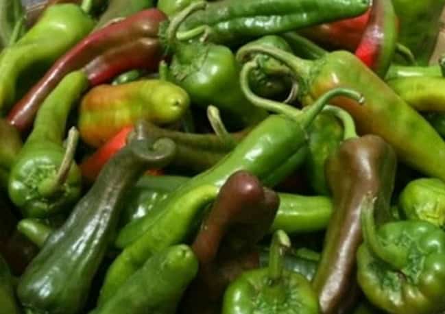 Bullet Chile Peppers Information and Facts