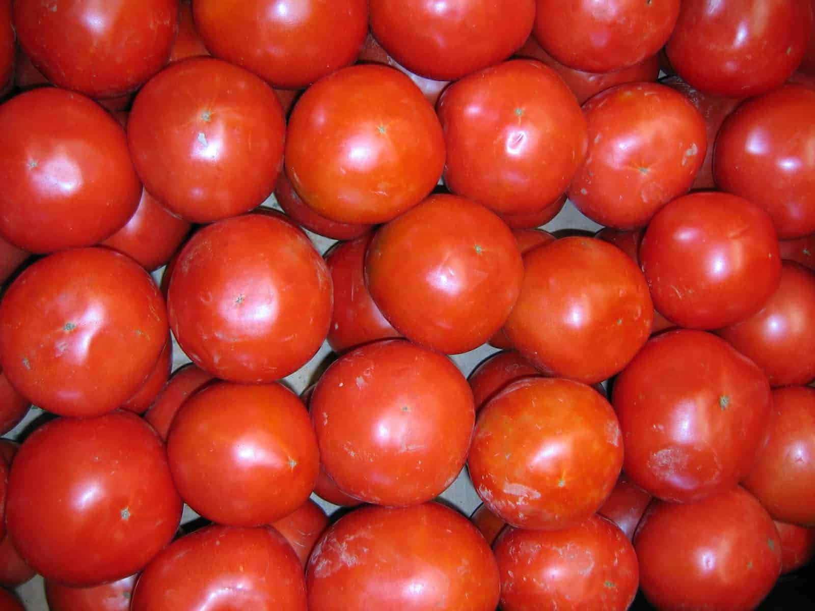 Tomatoes