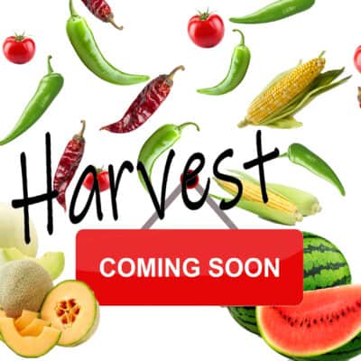 Harvest